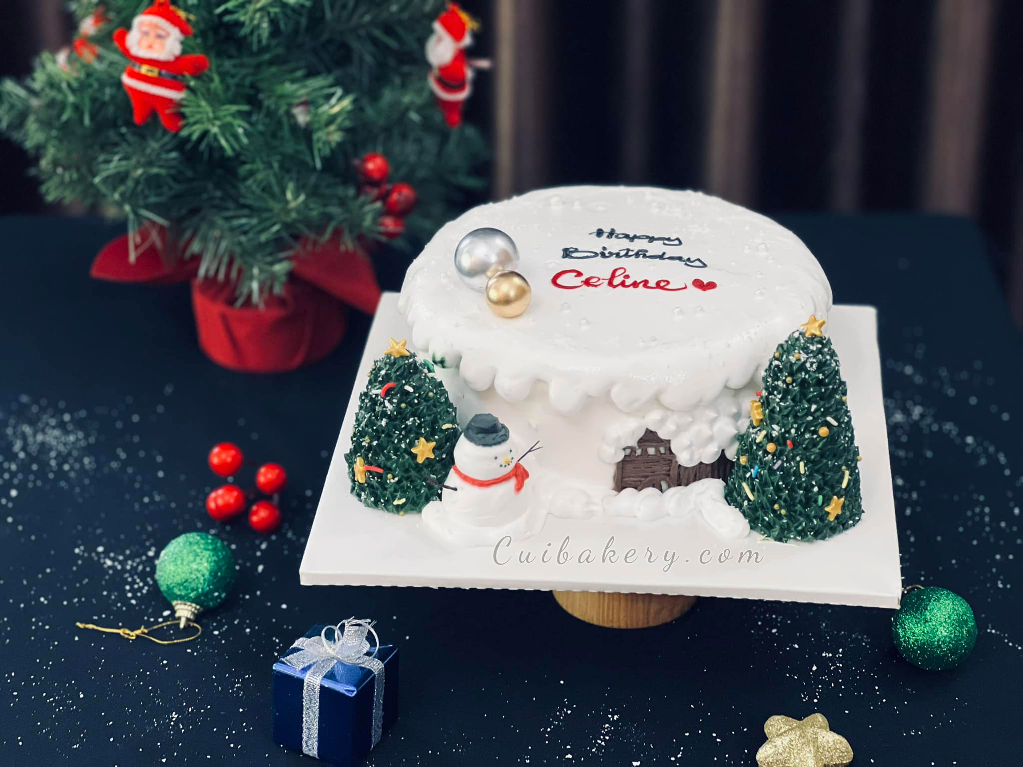 Mẫu Bánh Noel - MNE036