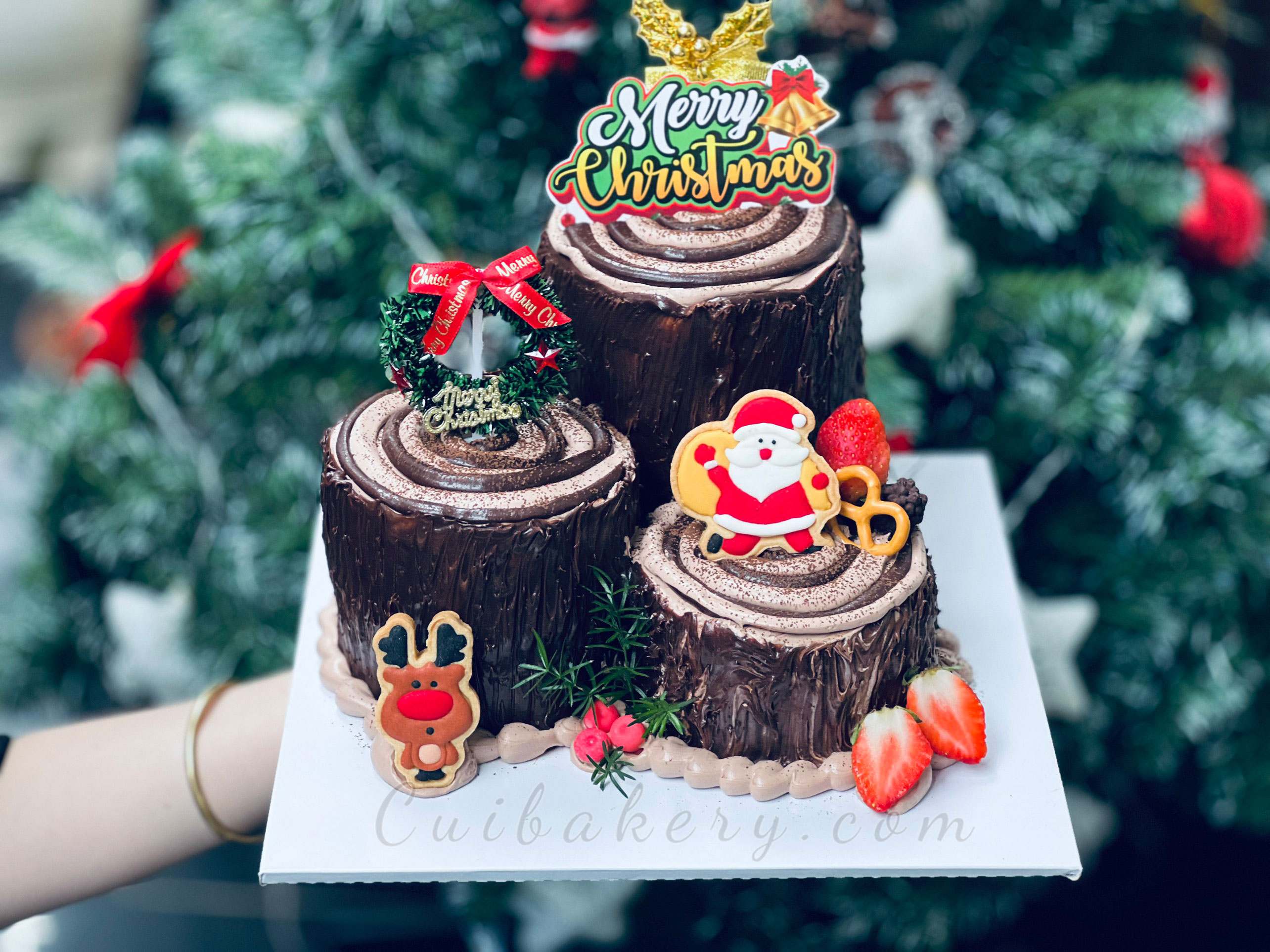 Mẫu Bánh Noel - MNE037