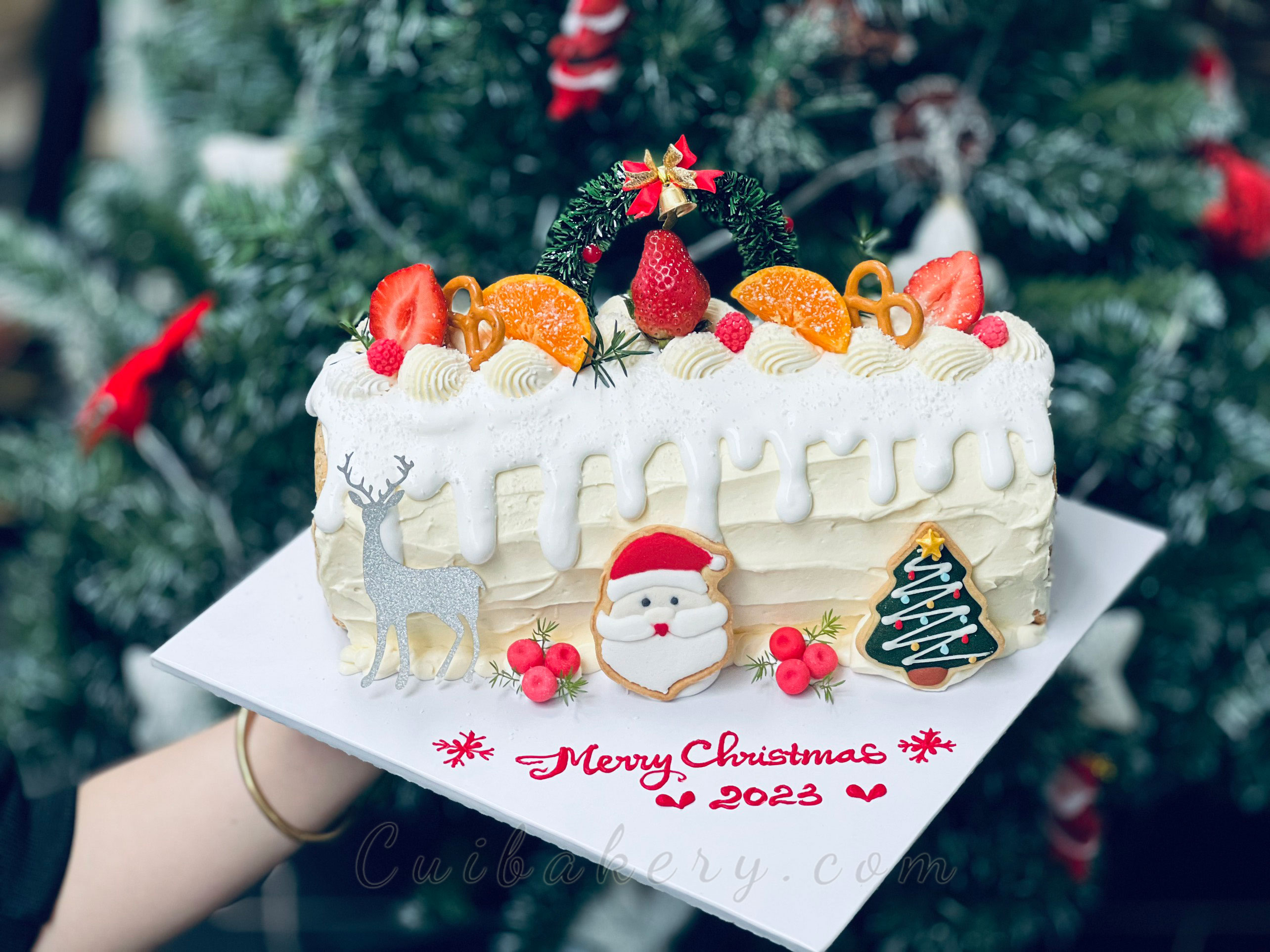 Mẫu Bánh Noel - MNE038