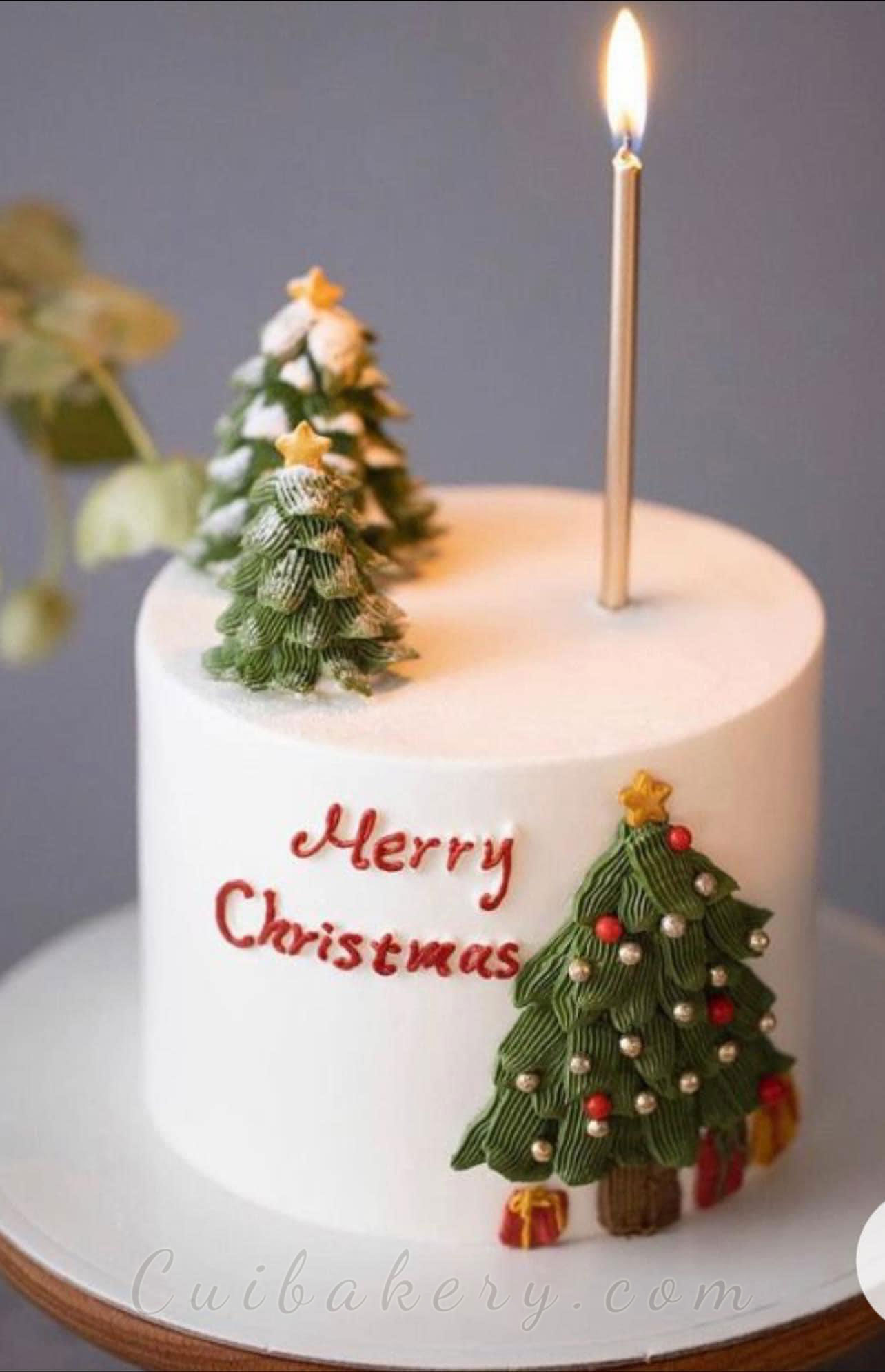 Mẫu Bánh Noel - MNE040